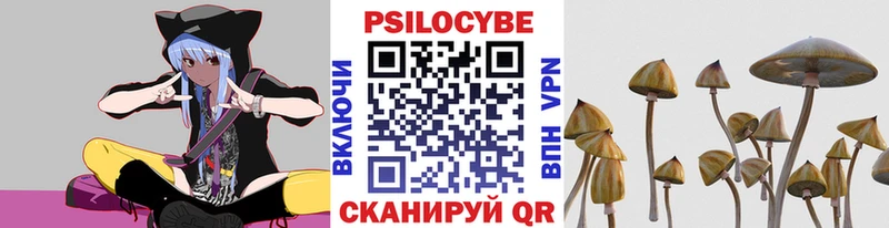 Псилоцибиновые грибы Cubensis  Губаха 
